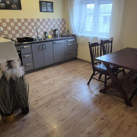 Apartament Alcatraz 90M Z Kominkiem Kamienna Gora Exteriör bild